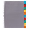 Durable 663219 Punched Pockets Index Set with 10 Divisions -