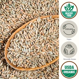 Organic Rye Berries Bulk (5.8 lb) - Whole Rye Grain Seeds by Be Still Farms - Rye Kernels Great for Flour, Bread, Cereal - High in Fiber & Protein | USA Grown | USDA Certified | Vegan | Non-GMO