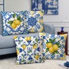 Fahrendom Blue Lemon Italy Tile Pattern Decorative Throw Pillow Covers