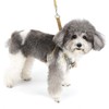 ZUNEA Dog Harness with Lead Small Dogs Escape Proof Puppy