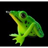Jenzi, The Prince Realistic Frog Neon Green