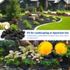 Calofulston 2"-4" Black Lava Rock, 10lbs Large Volcanic Lava Rock