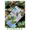 Lotterakka Collage Box Set, Nature Scenery, With Notes, Material Paper