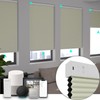 Changshade Blackout Smart Blinds Cellular Shades for Windows Doors Motorized