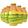Wonder Lemon Organic Lemon Mint Cold Pressed Juice, 8.45oz (6