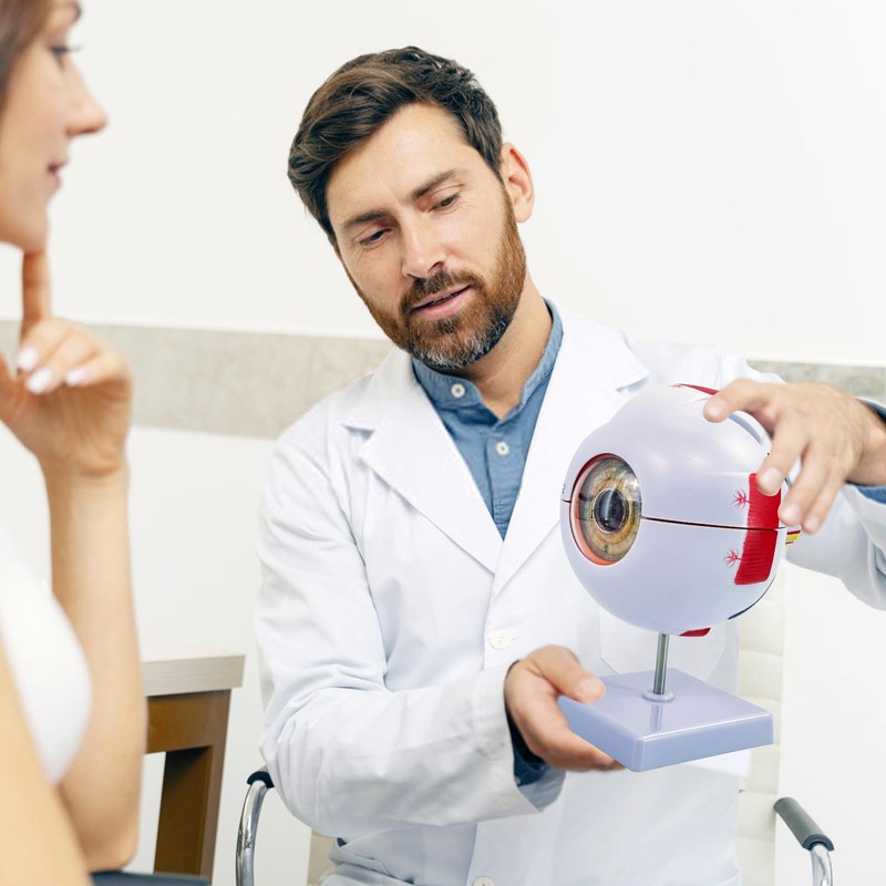 Eye Anatomy Model, 6X Enlarged Eyeball Model, Human Eye Anatomical