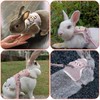 Adjustable Rabbit Lead, Pack of 2 Adjustable Lead for Rabbits,