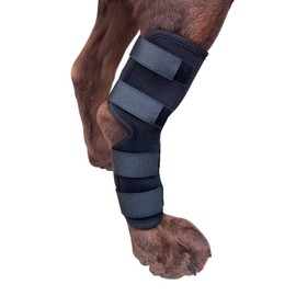 Leg Brace, Dog Canine Rear Leg Hock Brace, Joint Compression Dog Brace Wrap for Recovery, Protection Sprain & Injury Prevention, Knee Hock Ankle Extra Supportive for Dogs, 1 Pair (L)