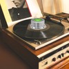 KozyOne Record Weight Stabilizer, Turntable Disc Record Stabilizer Clamp with