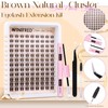 Winifred Brown Lash Clusters Kit - Natural Eyelash Extension Kit