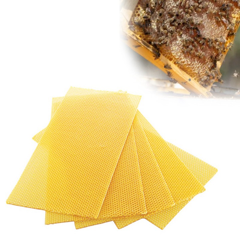 10Pcs Beeswax Sheets for Candle Making Natural Beeswax Honeycomb Foundation