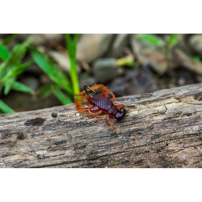 Rebel LIVEFLEX™ Hopper Soft Plastic - Summer Hopper - 1.75"