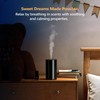 Airversa Waterless Diffuser for Essential Oil, Battery Operated Nebulizer, 0.7