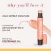 Burt's Bees - Brillo de labios hidratante 100% natural