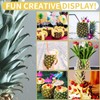 Pineapple Corer, [Upgraded, Reinforced, Thicker Blade] Newness Premium Pineapple Corer