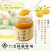 Kondo Japanese Honey Factory Hachimitsu Yuzu Cha 250g (Pack of
