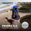 Cla Acido Linoleico Conjugado Puro 2000mg Capsulas Gelatina Blanda Origen