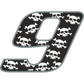 Holographic Racing Number Skulls 9, Medium