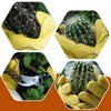 Long Thorn Proof Gardening Gloves for Women - 42mm Leather