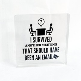 Funny Office Desk Sign - "I Survived Another Meeting That Should Have Been an Email," Gag Gift for Coworker, Teammate, Employee, Boss | Transparent Acrylic Cubicle Decor for Birthday, Christmas, White