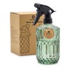 OFFIDIX Fine Mist Plant Mister,Handheld Pressure Glass Spray Bottles,0.43L/15.17oz Watering