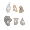 Hohopeti 1 Set Teaching Rock Specimens Teaching Specimen Science Education