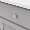 Hickory Hardware 10 Pack of Square Kitchen Cabinet Knobs, Quality