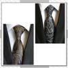 CHROME CRANE NR008 Men's Necktie, Paisley, Solid Suit, Business, Casual,