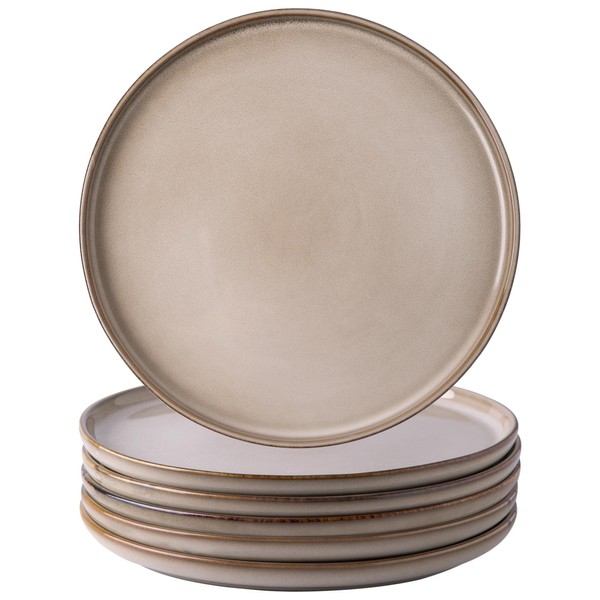 AmorArc Dinner Plates Set of 6, 10.5 Inch Reactive Glaze