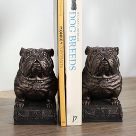 Veronese Design 5 7/8 Inch British Bulldog Bookends Resin Sculpture Bookends Hand Painted Bronze Finish Desktop Organizer