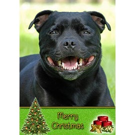 Staffie/Staffordshire Bull Terrier Dog Christmas Card 'Merry Christmas' - Special Animal Xmas Card for Him Her from Pets Kids
