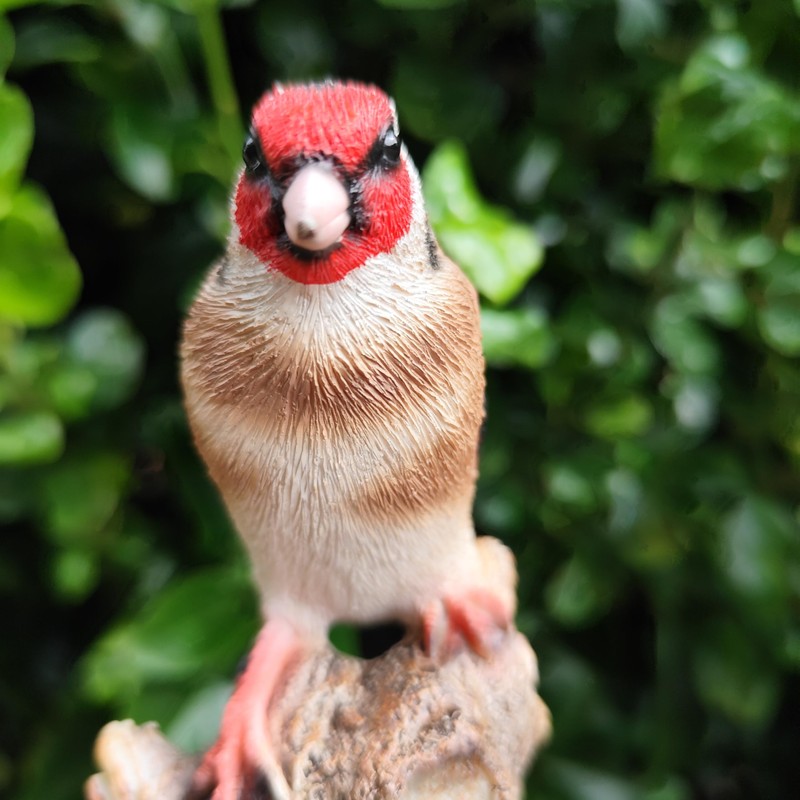 Vivid Arts - Singing Songbird – Realistic Goldfinch Bird Ornament