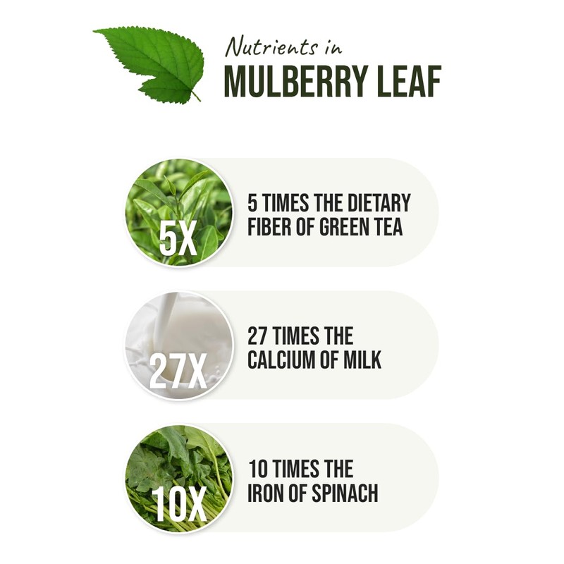 FARMER QUEEN [7.05oz] Korea Pure 100% Dried Mulberry Leaf Powder