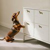 Adorable Dachshund Dog Cabinet Knobs, 6Pcs Bronze Puppy Single Hole