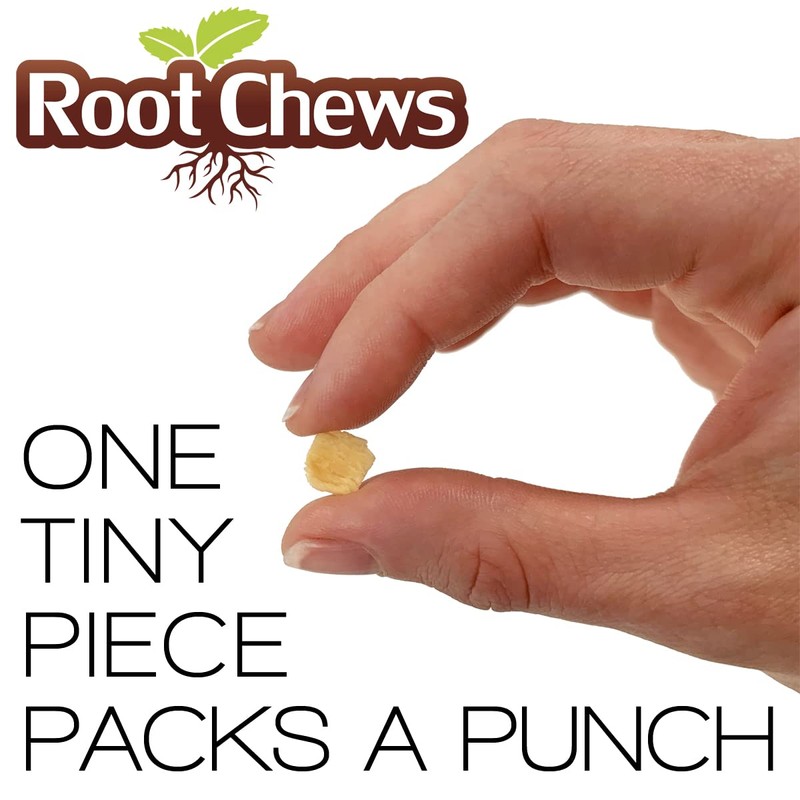 Root Chews MINTS 1oz Refill 300+ pcs | Bulk Pack