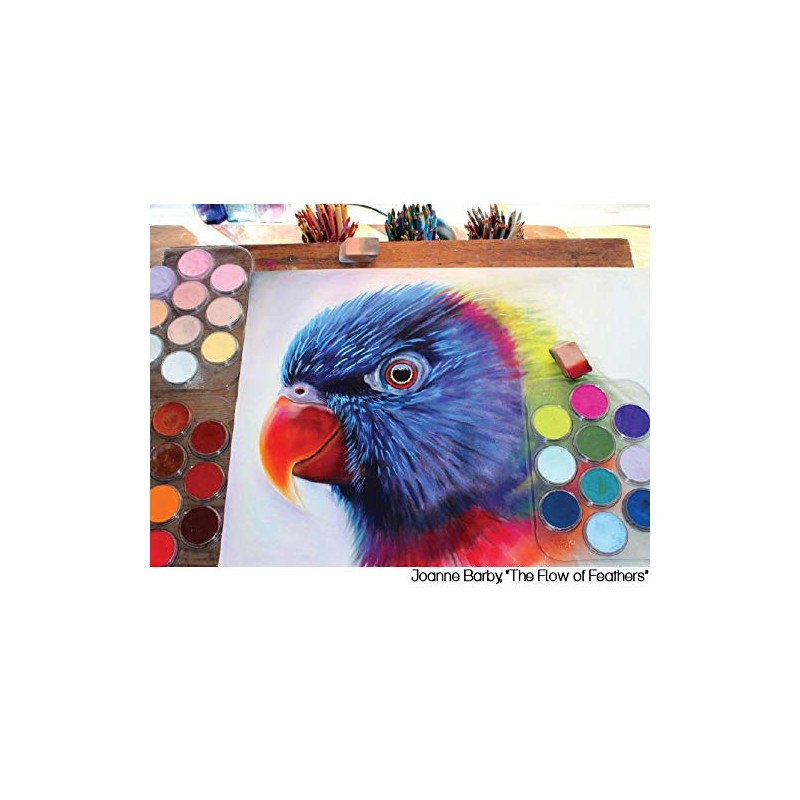 Pan Pastel Artists Pastel Orange Tint - 2808