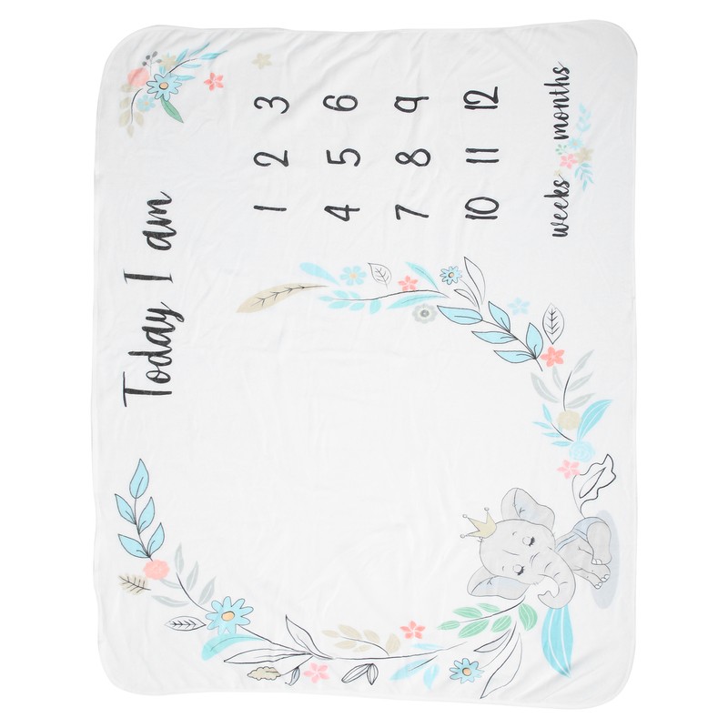 Flannel Baby Monthly Milestone Blanket Infant Growth Memory Blanket Photography