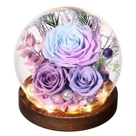 Eaprala Birthday Roses Gifts for Women, Preserved Flower Rose in Glass Dome Gifts for Women Mom Her Girlfriend Wife on Mother's Day Valentine's Day Chrismas,Home Decoration.Purple