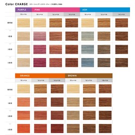 Hoyu Color Charge Orange 4.6 oz (130 g) Floral