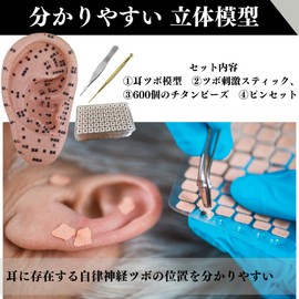 Quikaboo Ear Point Model 3D Model Ear Point Seal 6.7 inches (17 cm) Urn Model Urn Jewelry