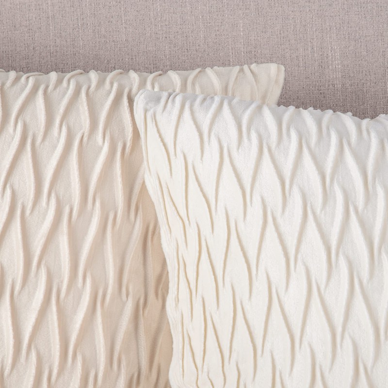 Madizz Pack of 2 Super Soft Velvet Decorative Cushion Covers