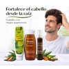GOOSE Kit Anticaída Botánico – Shampoo + Gel Capilar +