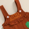 Loalirando Newborn Baby Girl Easter Outfits Carrot/Bunny Print Ruffle Trim