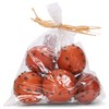 Raz Imports Pomanders - Set of 6 (4002263)