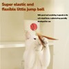 3 PCS Cat Bouncy Ball with Feather,Cat Feather Toys, Feathered