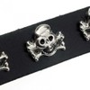 Collar with Skull & Bones designs
