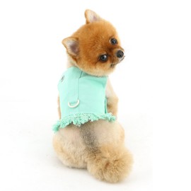 PAIDEFUL Denim Dog Harness Vest for Small Dogs Puppy Clothes Cat Vest Harness and Leash Set Spring Summer Pet Shirt with D-Ring Sleeveless Doggie Strap Cute Chihuahua Fringe Outfits,Green,XXL