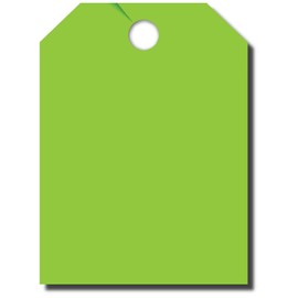 50 Pack Jumbo Car Dealer Blank Mirror Hang Tags You Choose Color (Green)