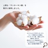 Bloom Imabari Towel Brian Bath Towel Set of 2, Hotel