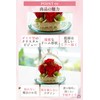 Preserved Flower IPFA Glass Dome Elegance Premium Wedding Gift Birthday